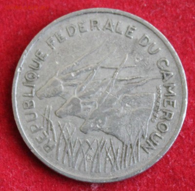 С 1 руб. КАМЕРУН 100 франков 1971г.АНТИЛОПЫ до 30.12.14г. - IMG_3040.JPG