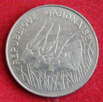 С 1 руб. ГАБОН 100 франков 1972г.АНТИЛОПЫ до 30.12.14г.в 22 - IMG_3039.JPG