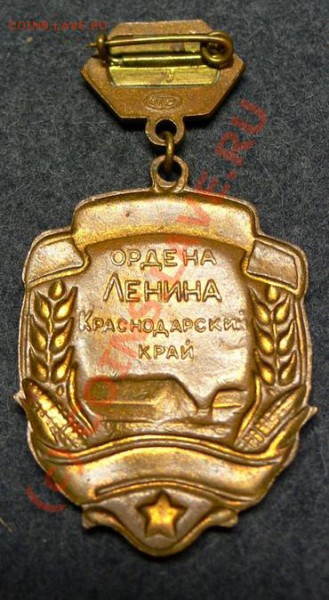 Лучший животновод - P4.JPG
