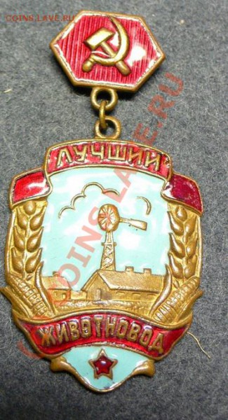 Лучший животновод - P5.JPG