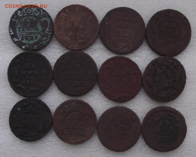 деньга 1731-53,12 монет по годам,до 28.12 в 21.00мск - 5.JPG