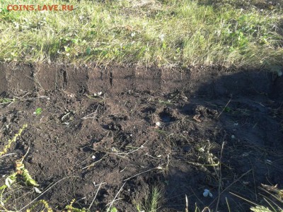 Покопушки от Русланыча . - 2950639