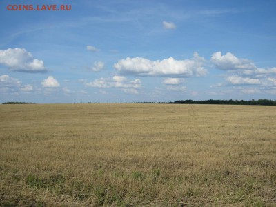 Покопушки от Русланыча . - 2984430