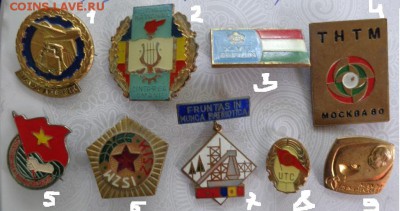 шт - хххх15.06.14 гхххх 013.JPG