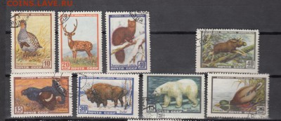 Марки СССР гашеные фауна 1957г - 1п208