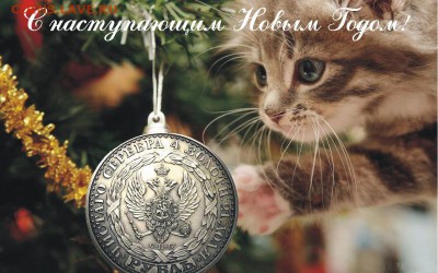 С НОВЫМ 2015 ГОДОМ!!!!!!!!!!!!!!!!!!!!!!!!!!!! - kbrJszZvcvc