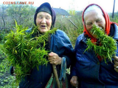 Ну а теперь про Украину - 0ooi