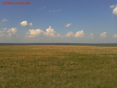 Покопушки от Русланыча . - 2970136