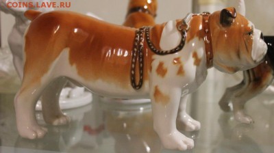 8 фарфоровых псов!(собак)оценка - IMG_6697.JPG