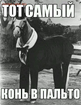 делает - прямо сейчас !!! - 1