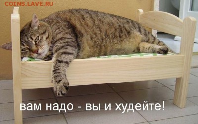 делает - прямо сейчас !!! - image