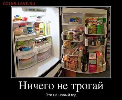 Новогодний конкурс фотоснимков!!! - 444