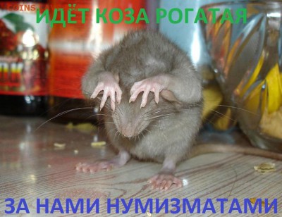 С НОВЫМ 2015 ГОДОМ!!!!!!!!!!!!!!!!!!!!!!!!!!!! - с новым годом!