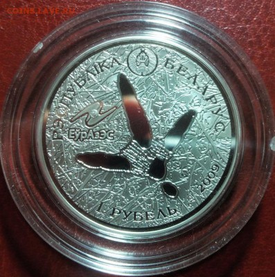 Беларусь, 1 р. 2009 (Белый аист) Cu-Ni, Proof, до 04.12.14 - qISz5KGu3Ks