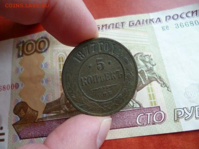 5 копеек 1877 СПБ, до 02.01 в 22-10 - 5 копеек 1877 СПБ VF (350)d.JPG
