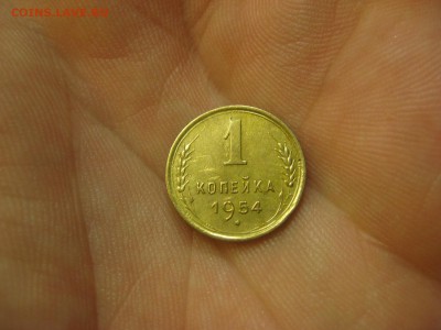 1 копейка 1954 ---------------- 04.01.15, в 22.10 - IMG_7924.JPG