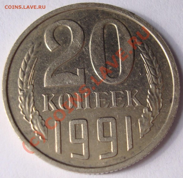 б - DSC04441.JPG