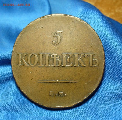5 копеек 1831 года ЕМ ФХ Не копанина! До 04.01.15 в 22.00 - P1300251.JPG