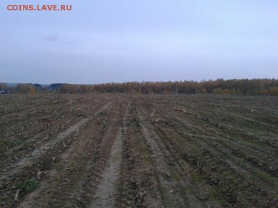 Покопушки от Русланыча . - 251660