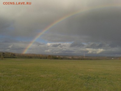 Покопушки от Русланыча . - 361830