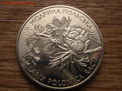 Украина 2 гривны 2001 Модрина Польская до 05.01.15 в 15.00 М - IMG_9066