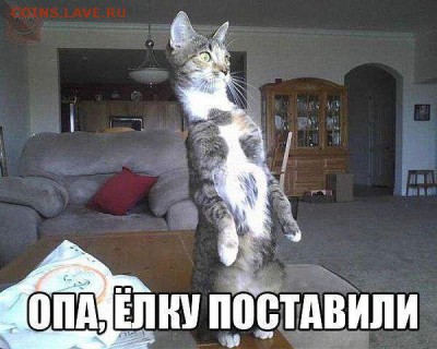Любите ли вы кошек? - getImage (1)