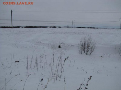 делает - прямо сейчас !!! - IMG_8506.JPG