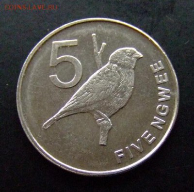 3 - Замбия 5 нгве (2012) «Птица» Р