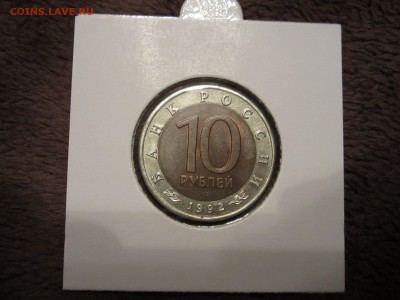 КК Среднеазиатская кобра, до 07.01 - IMG_5234.JPG