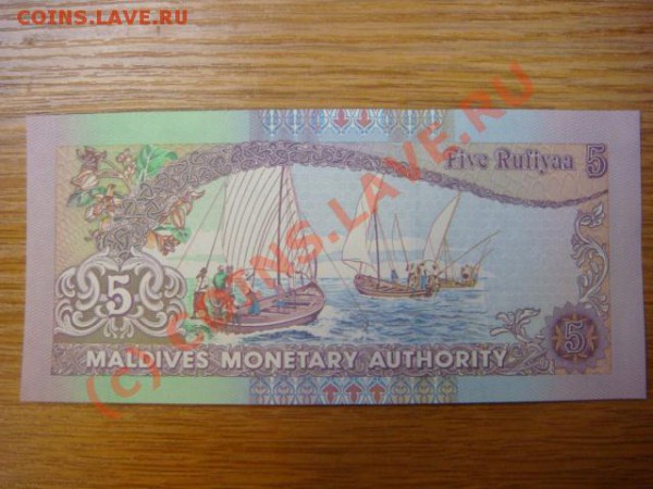 -v- Бона Мальдивы 5 руфия 2006г.ПРЕСС до 21.05(21.00) - 1DSC05056.JPG