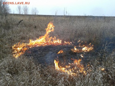 Покопушки от Русланыча . - 2135806
