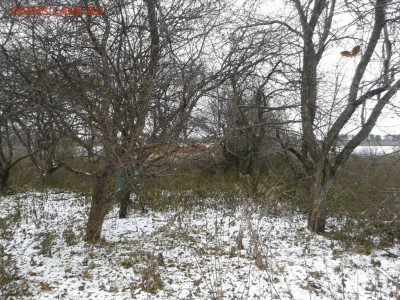 Покопушки от Русланыча . - 2123518