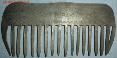 Гребешок. - SAM_4043.JPG