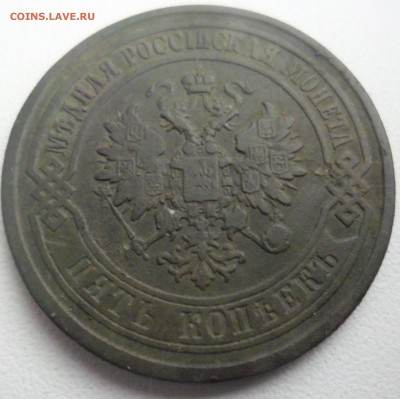 оценка 5к 1878 - SAM_1884.JPG