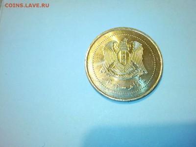 10 фунтов Сирии с рубля, до 10.01.2015г. - IMG_20150104_202515_thumb