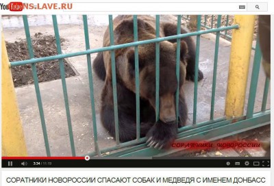 Ну а теперь про Украину - medved