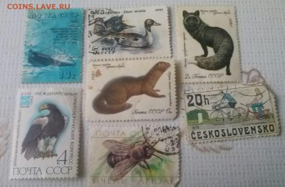 Оцените марки, СССР и немного соц.стран. - 0-марк 6