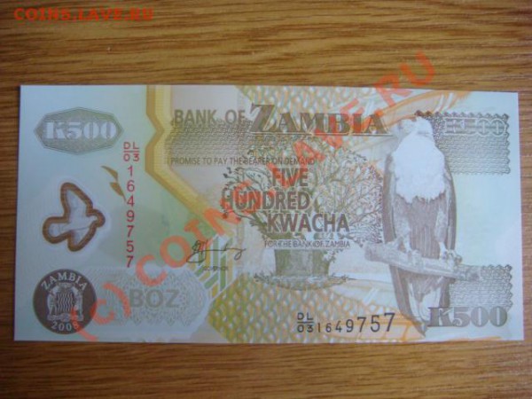 -v- Бона Замбия 500 квача 2008г.пластик до 21.05(21.00) - 7DSC05096.JPG