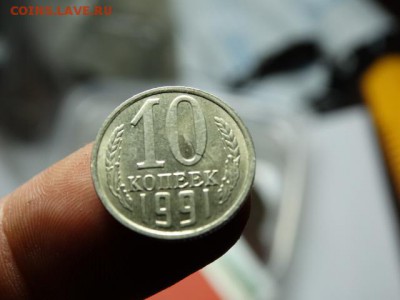 д - DSC06842.JPG