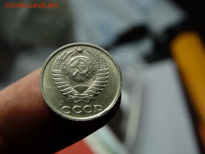 д - DSC06839.JPG