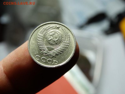 д - DSC06844.JPG