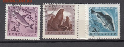 Марки СССР гашеные  фауна 1960г - 1п241
