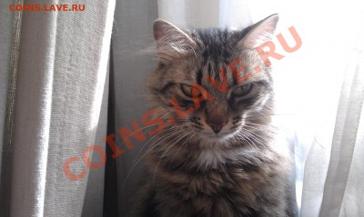 Игра на смекалку ........ - не янг