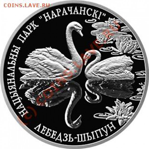 Животные на монетах - Беларусь, лебедь-шипун.JPG
