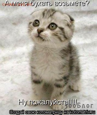 делает - прямо сейчас !!! - 788118