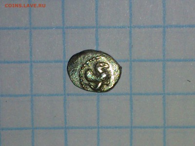 животные 4-5 век д.э - DSC_1528.JPG