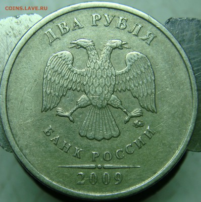 Вопросы по определению разновидностей от Сережа - DSC06807.JPG