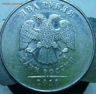 Вопросы по определению разновидностей от Сережа - DSC06809.JPG