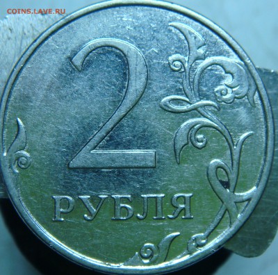 Вопросы по определению разновидностей от Сережа - DSC06810.JPG
