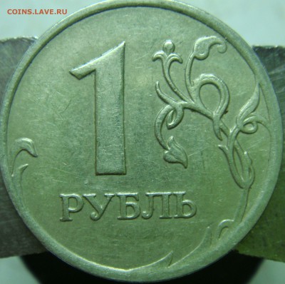 Вопросы по определению разновидностей от Сережа - DSC06816.JPG